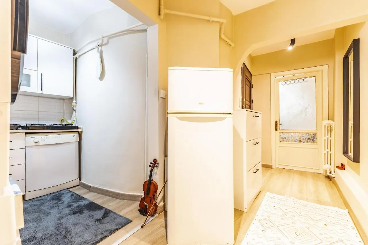 Spacious And Stylish Flat Near Taksim In Sisli イスタンブール