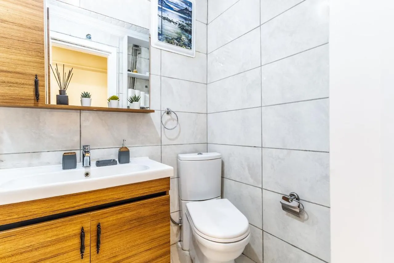 Spacious And Stylish Flat Near Taksim In Sisli イスタンブール